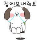 하임동물병원 이미지