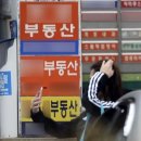 모아부동산중개사무소 이미지