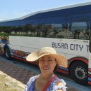 ♡ 부산 여행 2일차ㅡ동아대학교 석당박물관ㅡ수정했슴다♡ 이미지