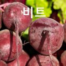 수창식품