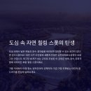 후평초 푸른새싹공원 | 대전 갑천생태호수공원 야경, 주차, 개장 후기 완벽 총정리 [방문객 22만 명 인증 명소]