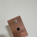 카딧 이미지