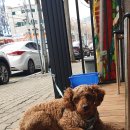 어사랑무침회 이미지