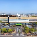 서구1 한국일보