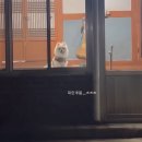 퍼피로 | 광주 포메 애견미용 잘하는 곳, 퍼피포피 내돈내산 솔직 후기