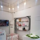 만두네 애견미용실 이미지