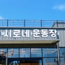 시로네 이미지