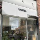 단티(DANTEA)