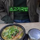 송당송당 | 제주여행 현지인 맛집으로 알려진 로컬식당 송당해장국 방문 후기