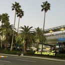 하타나카연동점 | 📍제주공항 근처 술집 추천｜분위기 좋은 술집 하타나카 연동신시가지점 후기🍺