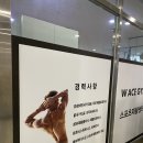 범계PT 벌써 한달째! W에이스짐 피티 후기