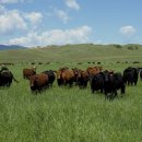 대평원목장 이미지