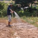 가작농장 이미지