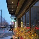 판교인생 이미지