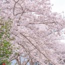 대흘보건진료소 이미지