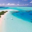 부어치킨 이미지