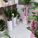 대명세무회계