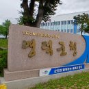 고래stay 국제뉴스