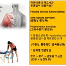 Adhesive Capsulitis (유착성관절낭염, 오십견)세미나 이미지