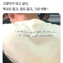 마루콩콩 이미지