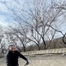 엠플로우