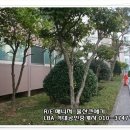 남창조경 이미지