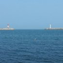 죽도물양장 이미지