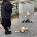 드림넷 | 누군가의 꿈이 된다는 건 𖤐