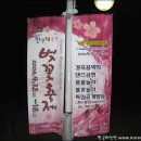 벚꽃주유소 이미지