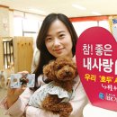 참좋은주유소 이미지