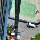 대원아파트산책로 이미지