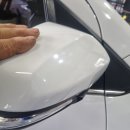 양산 반달곰 카센타 이미지