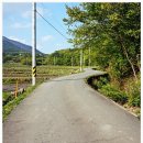 오룡산 등산로 입구 이미지