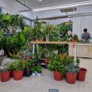 화사랑화원 이미지