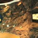 호암공원생태전시관 이미지