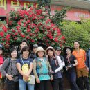 용마 농장 이미지