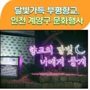 달빛자락 | 달빛가득 부평향교 기본정보 리뷰 인천 계양구 문화행사 가을밤 데이트코스