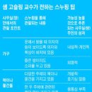 '스눕'의 저자 텍사스 오스틴大 샘 고슬링 교수 이미지