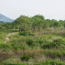 모란생태공원 이미지