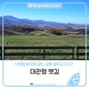 바우길 2구간 이미지