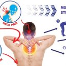 운동센터 라인 이미지