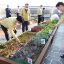 빛가람동 행정복지센터 이미지