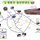 [백두산악회] 보성 일림산 철쭉 산행 (4/26, 놀금) 이미지