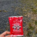 아란농장 | [신혼여행] 하와이 신혼여행 3일차 - 하와이 하루 만에 완전정복! 투어데이 솔직 후기