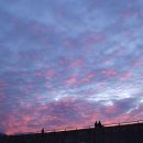 자기야막창 이미지