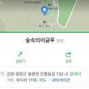 숲속의 이글루 이미지
