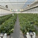 지우농원 이미지