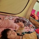 공주산림휴양마을 유아숲체험원 이미지