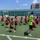 한국스포츠컨설팅 이미지