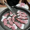 황금 돼지 포차 이미지